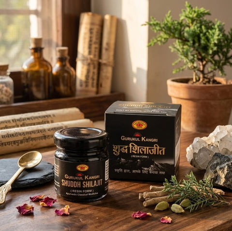 Gurukul Kangri Shudh Shilajit Resin: Max Potency Fulvic Acid | Best Mumijo | Barakhshin